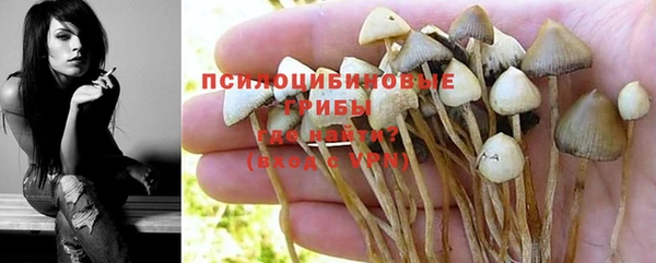 марки lsd Горно-Алтайск
