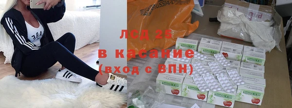 гидропоника Горнозаводск