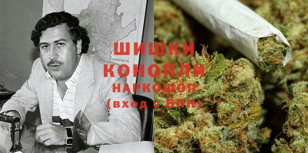 гидропоника Горнозаводск