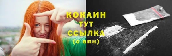 гидропоника Горнозаводск
