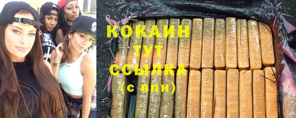 хмурый Горняк