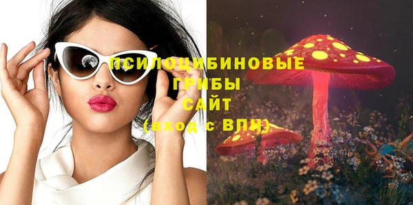 хмурый Горняк